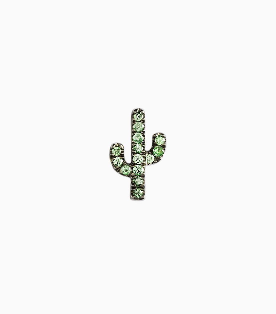 Cactus - Fiesta